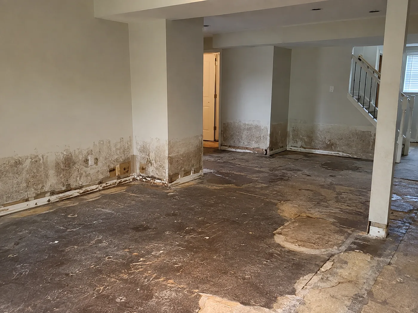 gallery-before